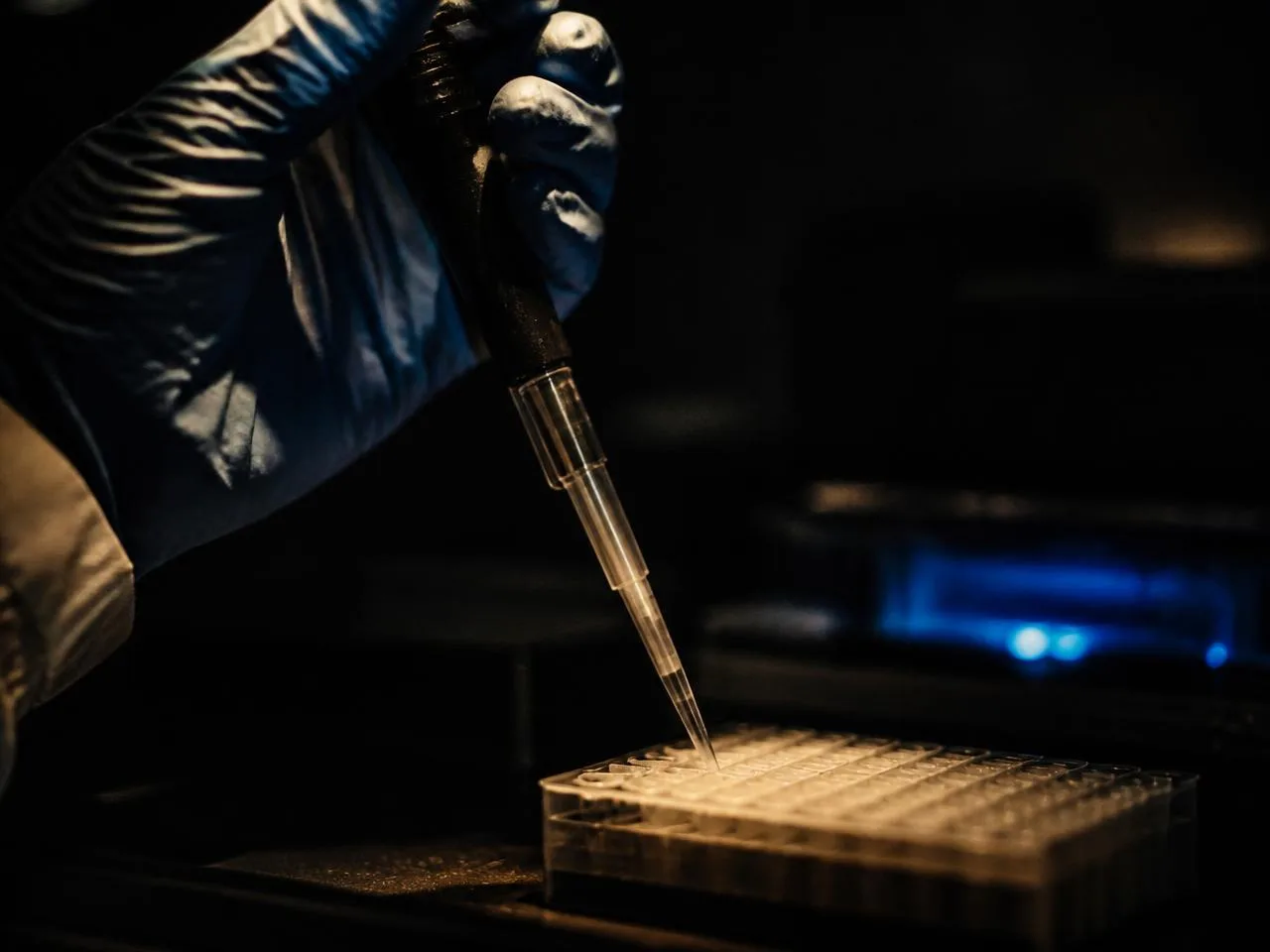 Gloved hand pipetting a sample into a PCR plate in a darkened laboratory